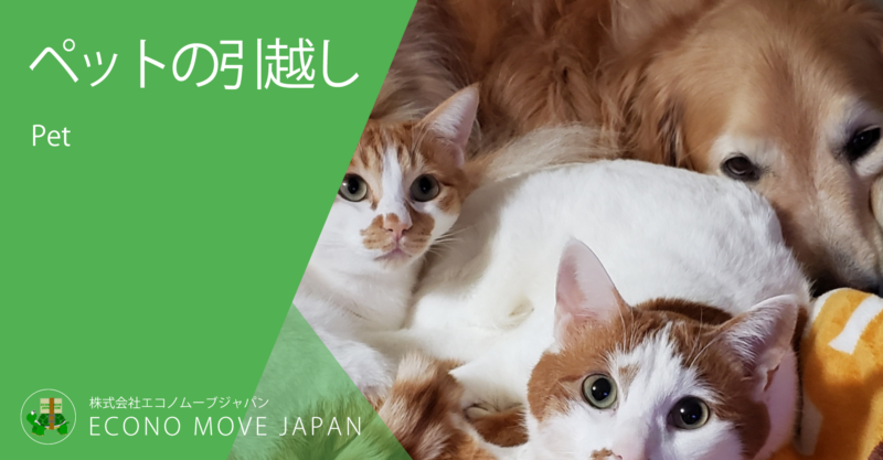 ペットの引越し